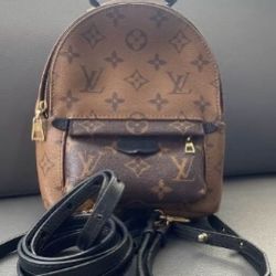 Louis Vuitton backpack