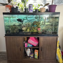 75 Gallon Fish Tank 