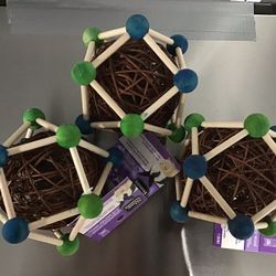 All living things geometric small animal chew.  $10 For All 