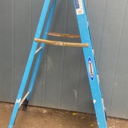 6ft Ladder 