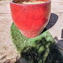 Flower Pot