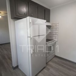 1 Bed 1 Bath - Apartment 