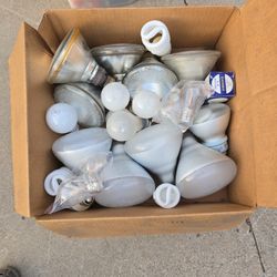 Box Of Bulbs - Different Types Of Light Bulbs