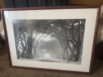 Framed Black and White Tree Tunnel Print