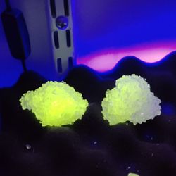 Kryptonite (2 Large Crystals)