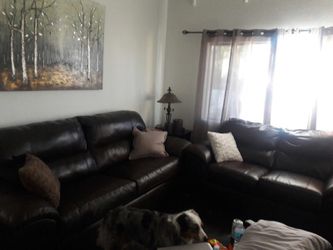 Leather couches