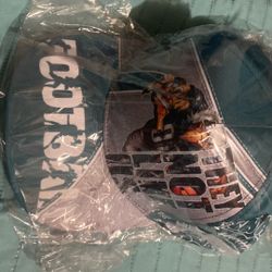 Philadelphia Eagles Hat