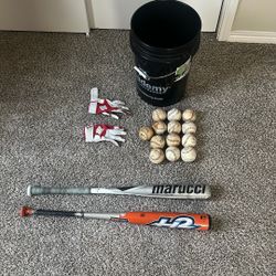 Baseball Ball With 2 Bats And Gloves 