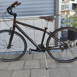 Cruiser Fixie Bike Public