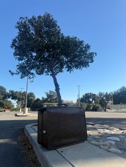 Vintage Sears Suitcase
