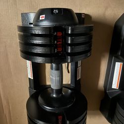 Altler 52lbs Adjustable Dumbbell (1 Unit)