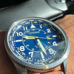 Citizen eco drive pilot