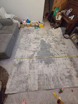Area rug (7.5' x 10')