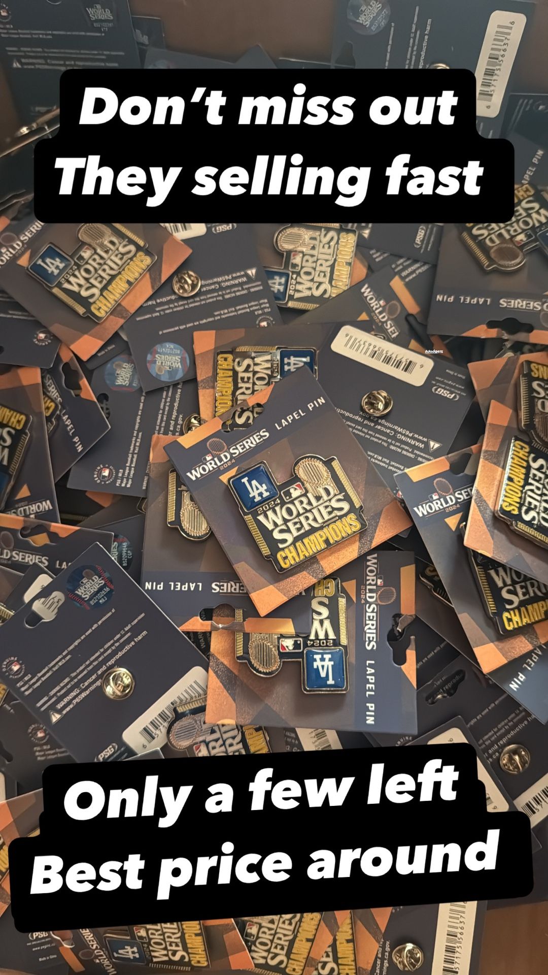 Dodgers World Series Champions Pin 2024 for Sale in Hazard, CA OfferUp