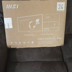 Pro Mp243l E14 Gaming Monitor 