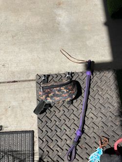 Headstall,reins, whip, saddle bag
