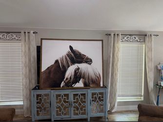 Beautiful horse portrait