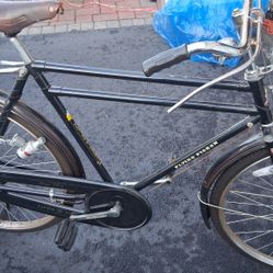 Original Flying Pigioen From China