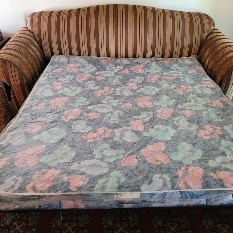 Sofa Sleeper. $100! 