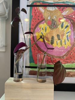 Plants