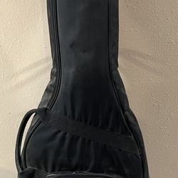 Breedlove Acoustic -Electric Guitar 