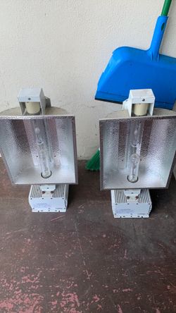 100.00 dollar Grow room set-up