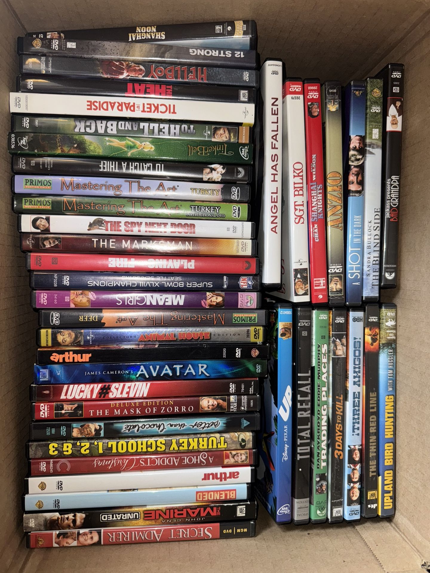 DVDs Make And Offer 6 Pictures