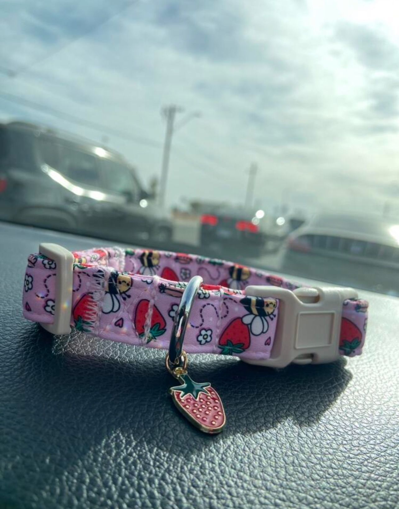 Collar For Medium Sized Dog