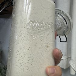 Sourdough Starter Organic 