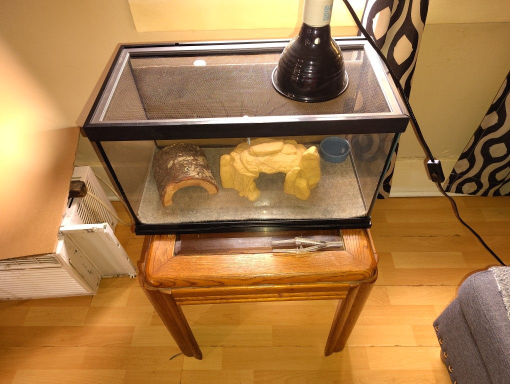 Selling A Gecko Cage  I Also Have The Reptile As Well Included In This Price 