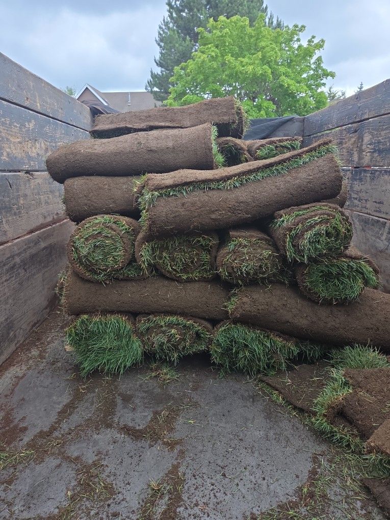 Fresh Sod 400 Feet