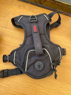 KONG Black Dog Harness with bag Pocket