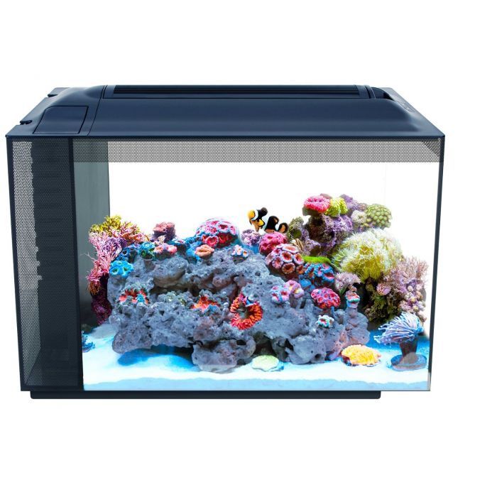 Used Fluval Evo XII 13.5 Gallon Marine Tank w/ 20 lbs of Fully Cured Live Rock with Polyps!