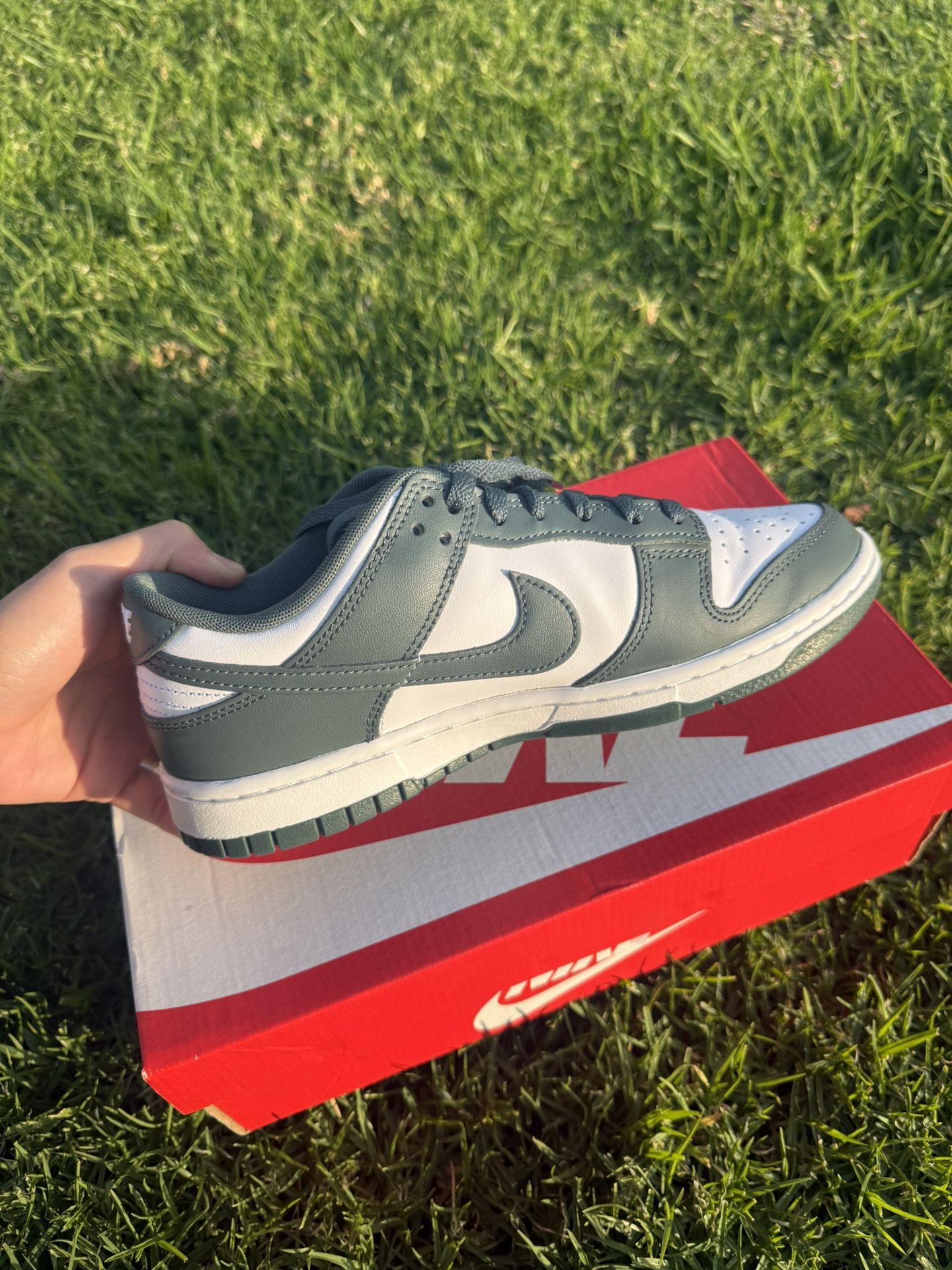 Nike Dunks Low Retro