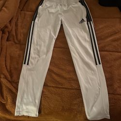 Adidas Pants