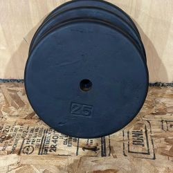 25 Pound Weights