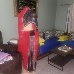 Indian Palistani Sari Brand New