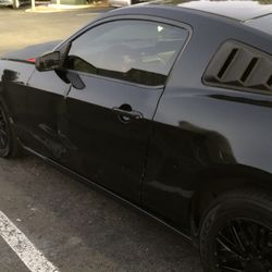 Black Mustang 