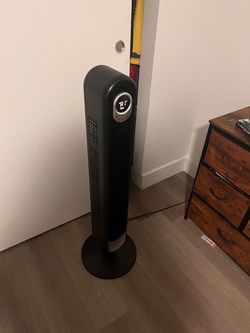 Fan