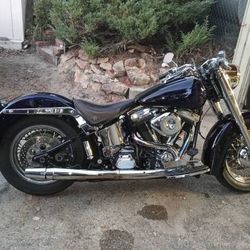 2001 Harley Davidson Softail 