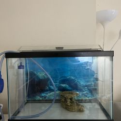 20 Gal Fish tank With Accessories 