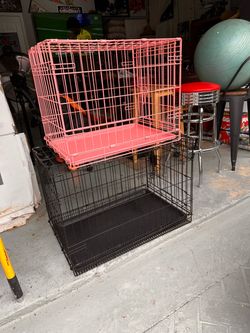 Black / Pink wire Dog create