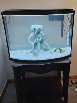 36 Gallon Bow Front Aquarium + Upgraded Accessories