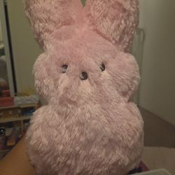 Adorable Super Soft Plush Bunny