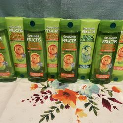 Garnier Fructis Shampoo & Conditioner 