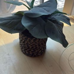 Fake Plant