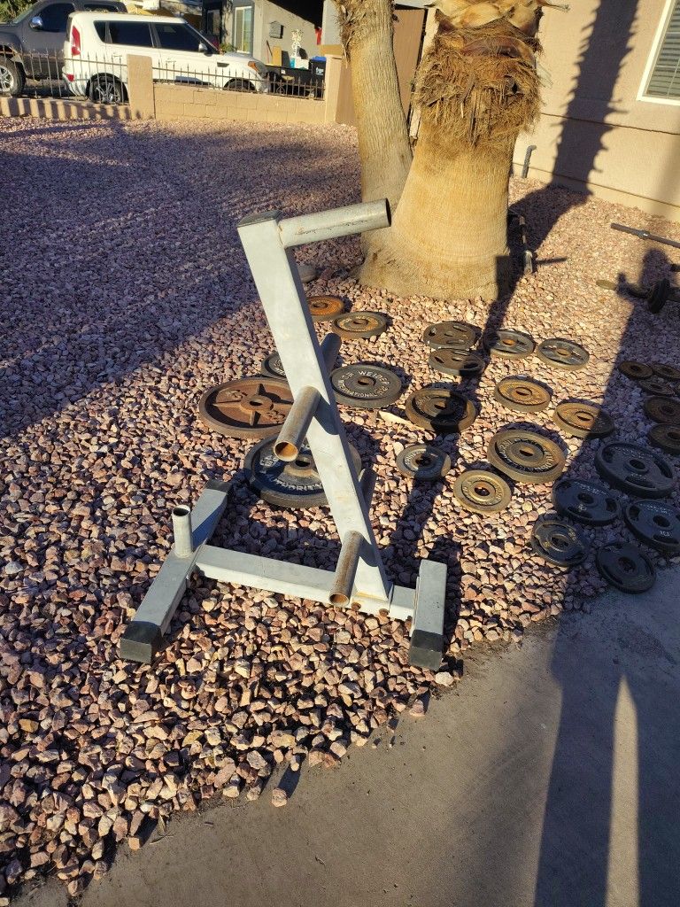 Stuff Heavy Duty Weights Storage Tree Holder