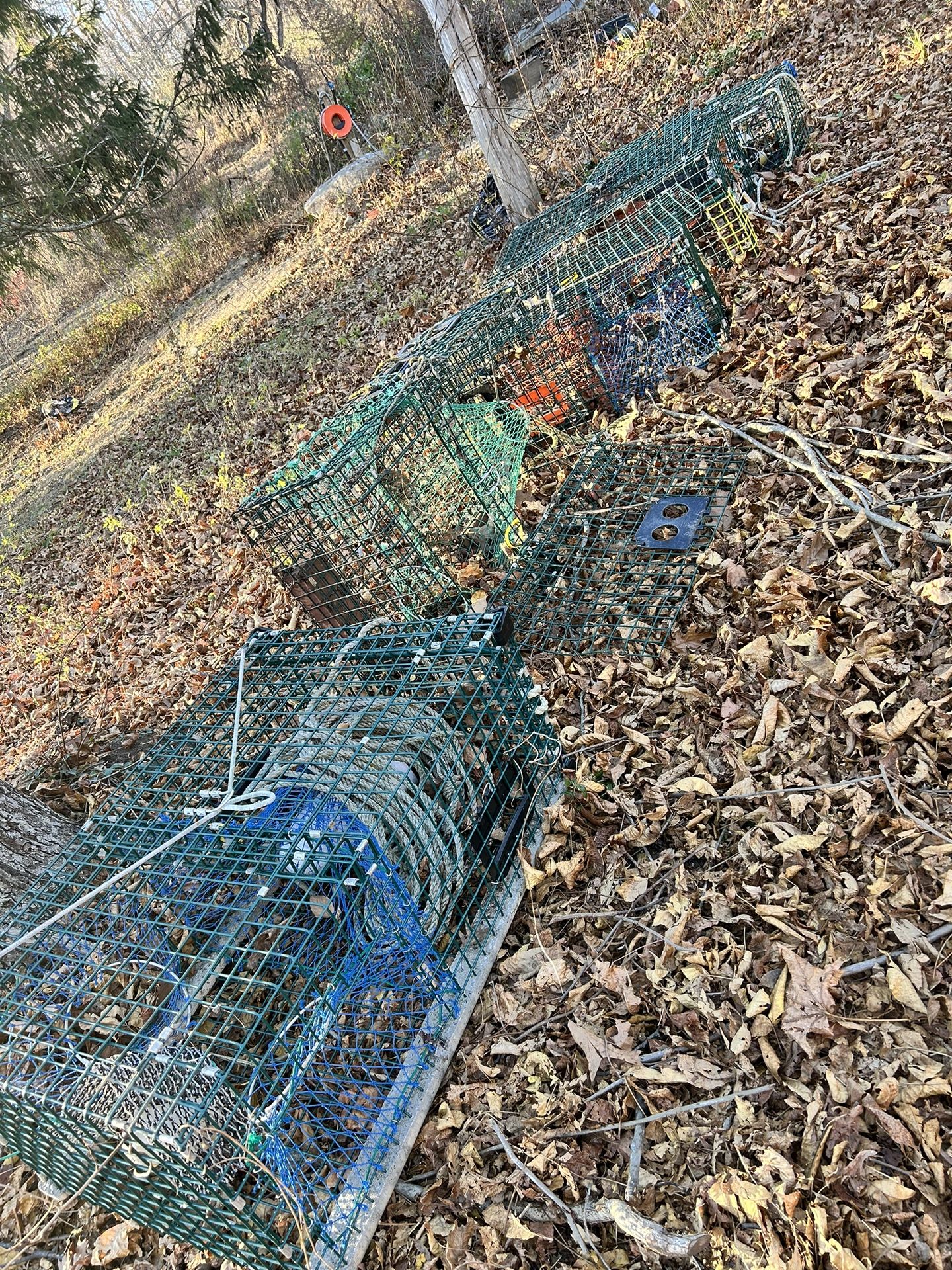 Lobster Traps π¦π¦