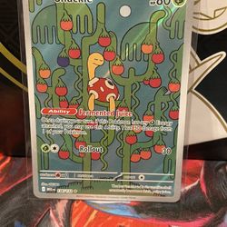 Shuckle Illustration 