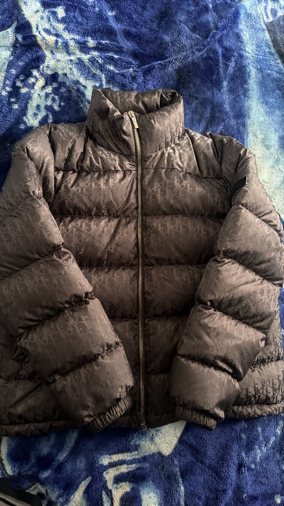 Dior oblique Down Jacket